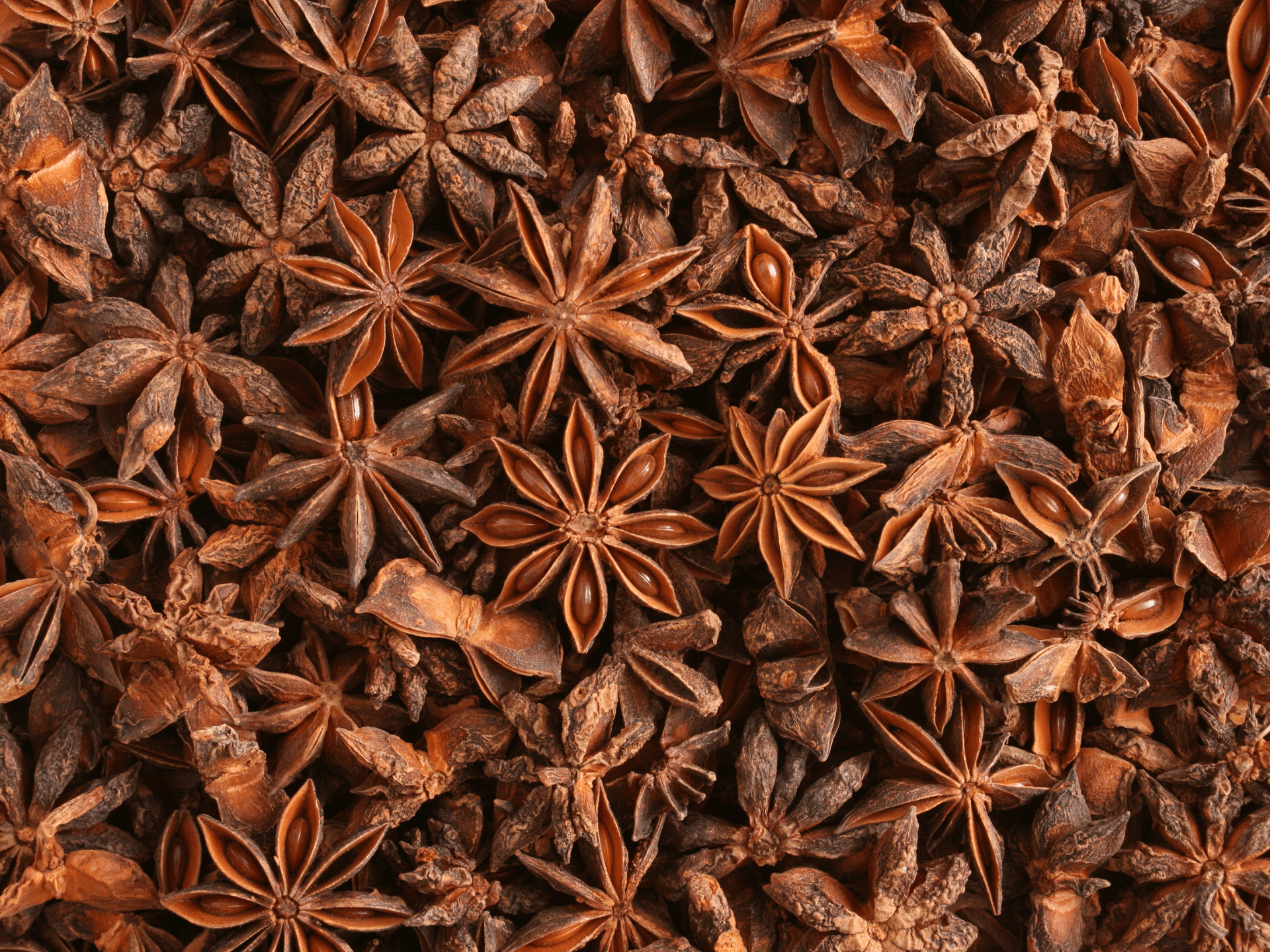 Foto de Anis-estrelado (Illicium verum)